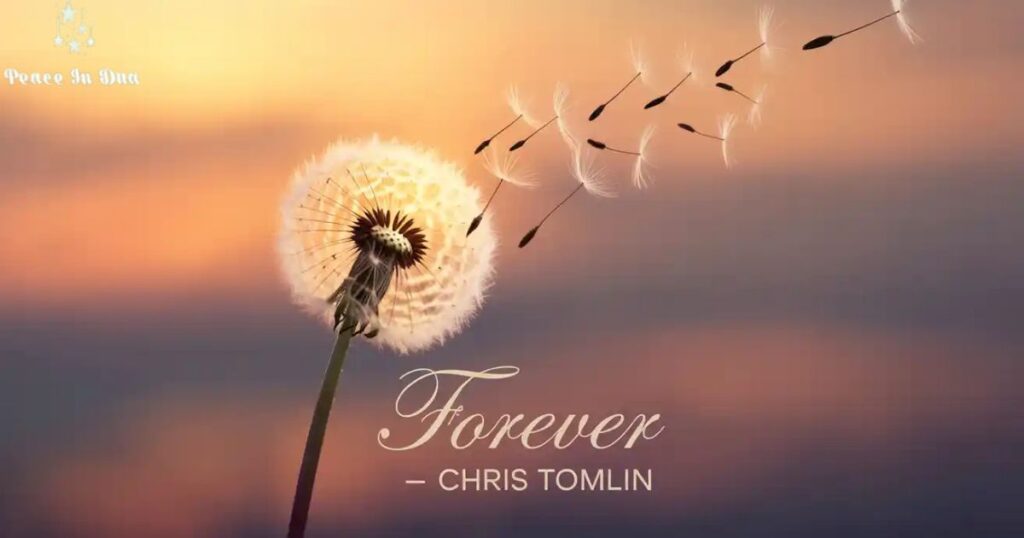forever-–-chris-tomlin